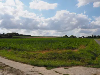 Kwaremont (Belgium)